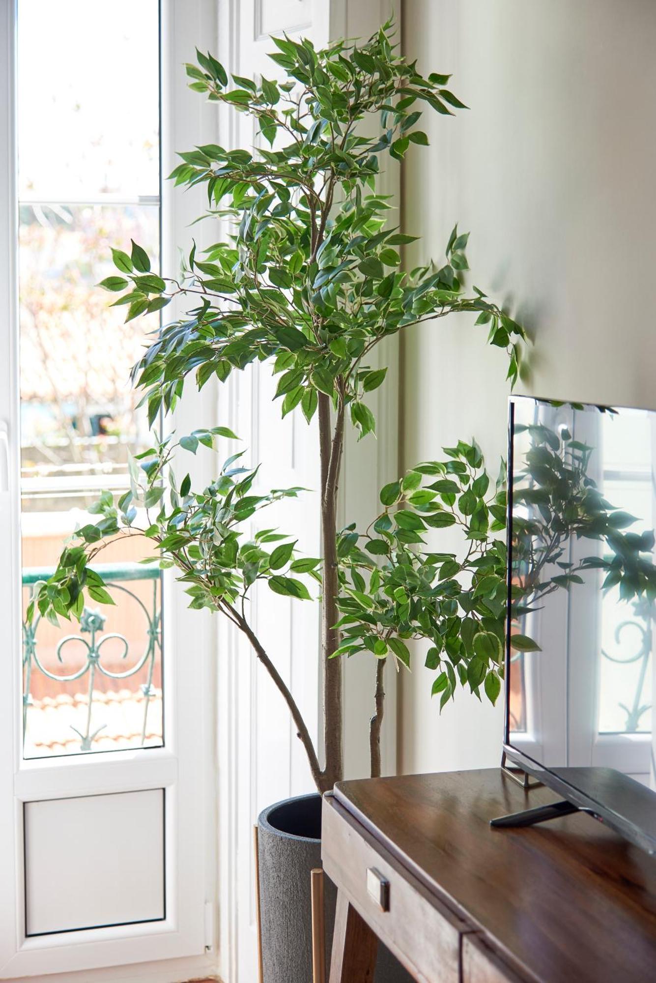 Elegant Apartment Santana Lizbona Zewnętrze zdjęcie
